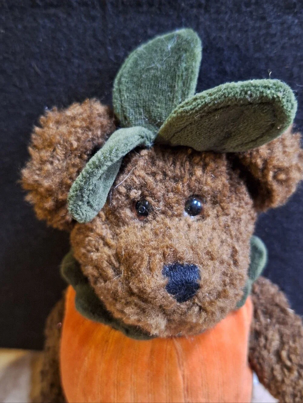 Boyds Bears removeable pumpkin